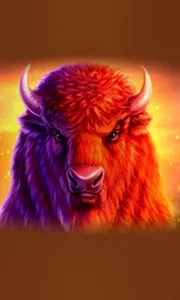 Buffalo 50